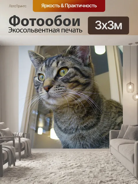 Фотообои Кошка