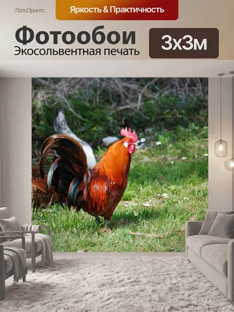 Фотообои Животное