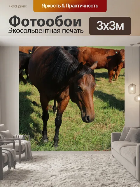 Фотообои Лошадь Стадо коров пастбища