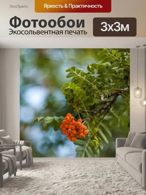 Фотообои Рябина