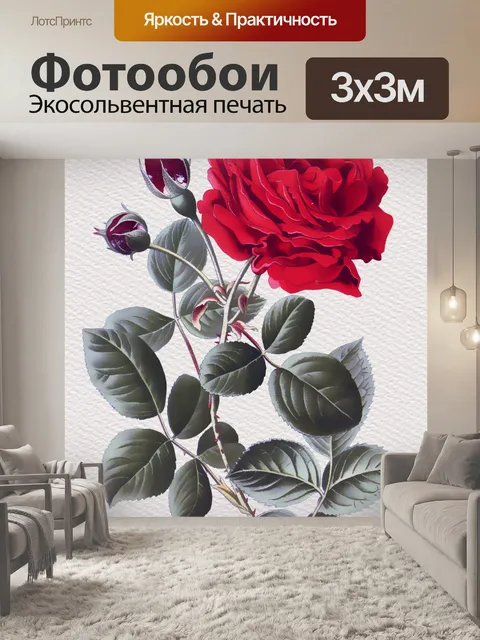 Фотообои Роза