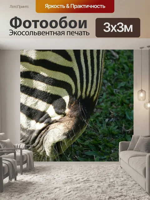 Фотообои Зебра