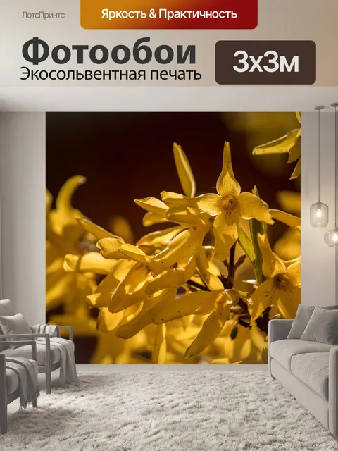Фотообои Форзиция