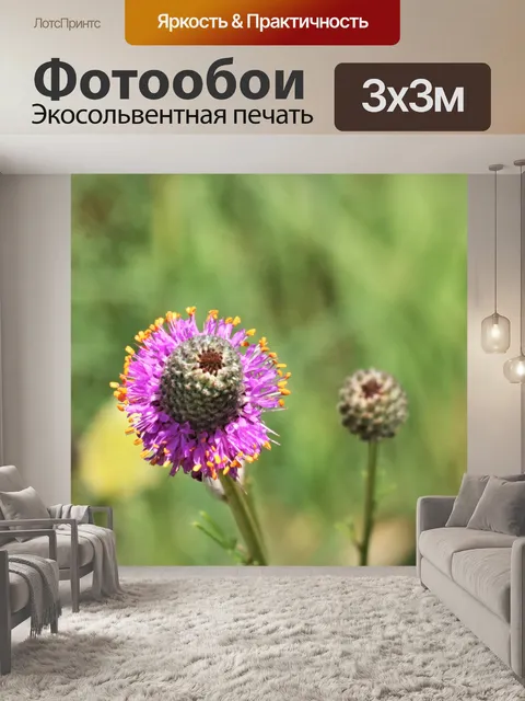 Фотообои Фиолетовый Prairie Clover Wildflower 2