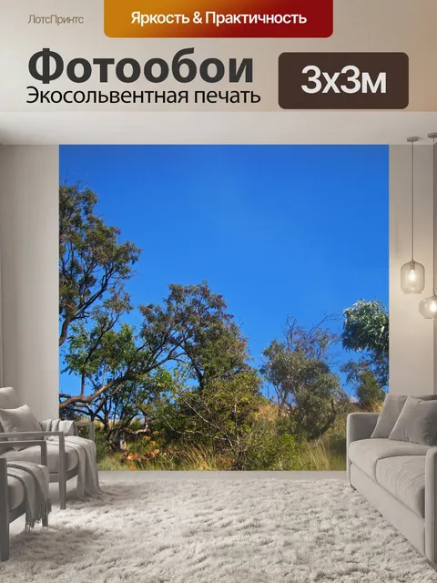 Фотообои деревья на холме в южной африке