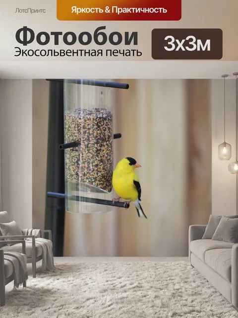 Фотообои Американский щегол