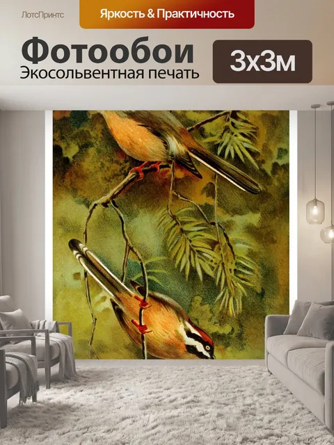 Фотообои Иллюстрация винтажного искусства птиц