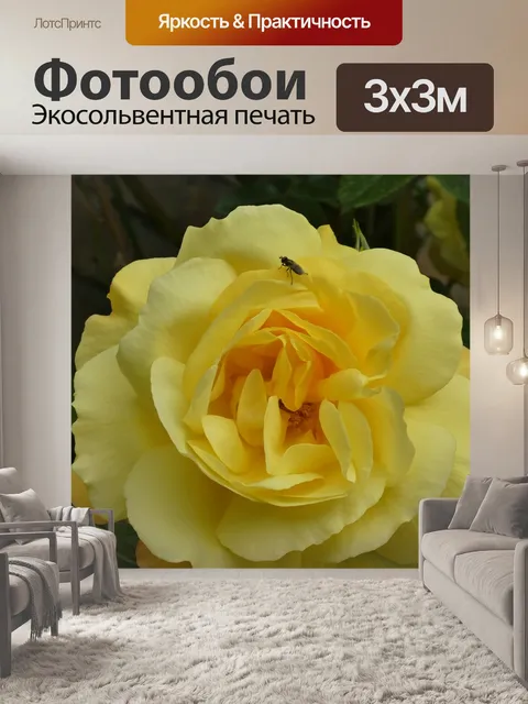 Фотообои Желтая роза