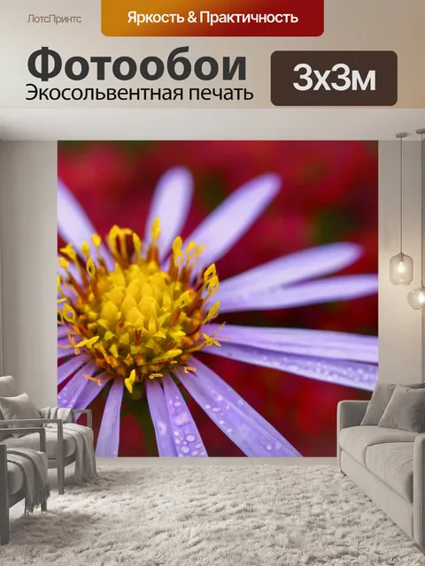 Фотообои Цветут цветы цветут срезанные цветы