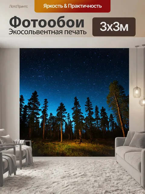 Фотообои лес с таинственным ночным небом, усеянным звездами и силуэтами деревьев