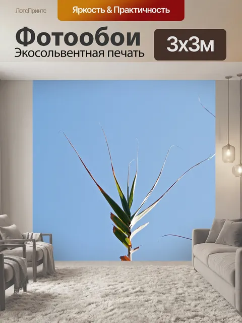 Фотообои листья высокого тростника на фоне неба