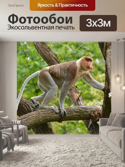 Фотообои Обезьяна хоботок 5