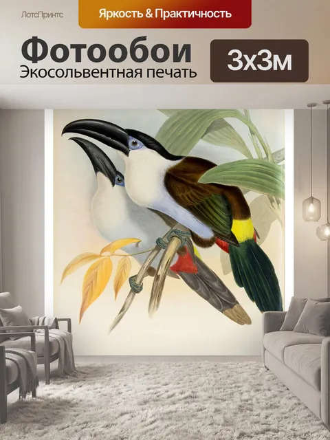 Фотообои Тукан птица старинное искусство