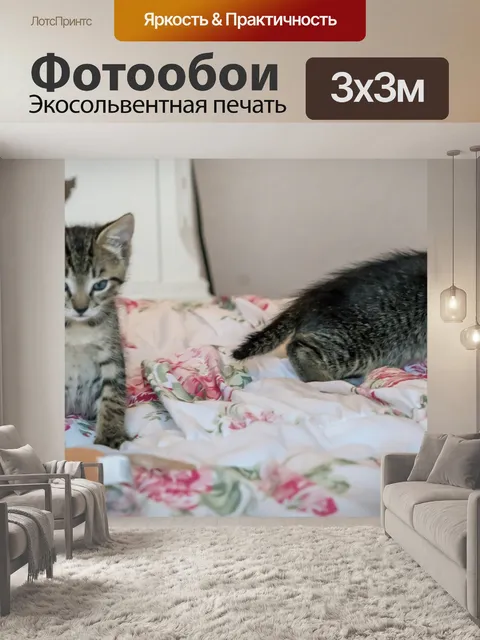 Фотообои Котята