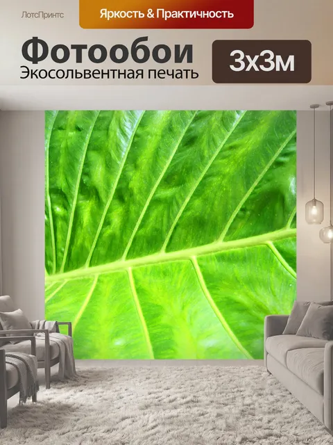 Фотообои прожилками лист близко