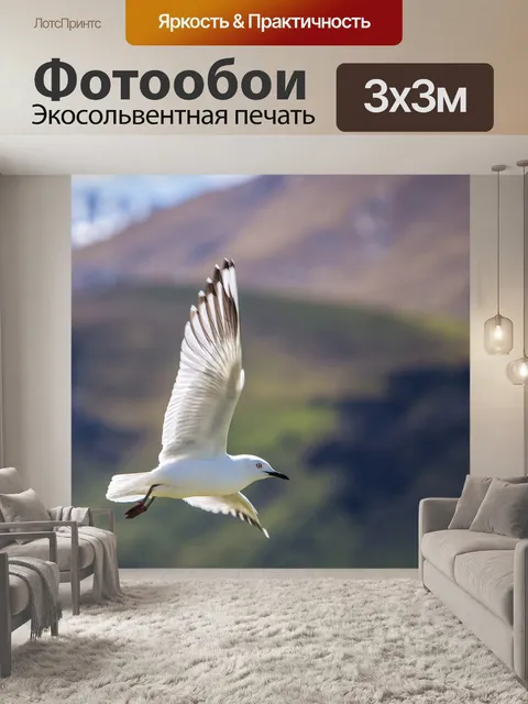 Фотообои Чайка