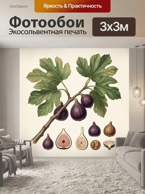Фотообои Ветвь инжира с плодами