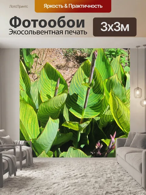 Фотообои Листья канны с желтыми полосками