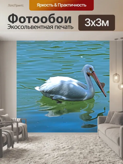 Фотообои Pelican