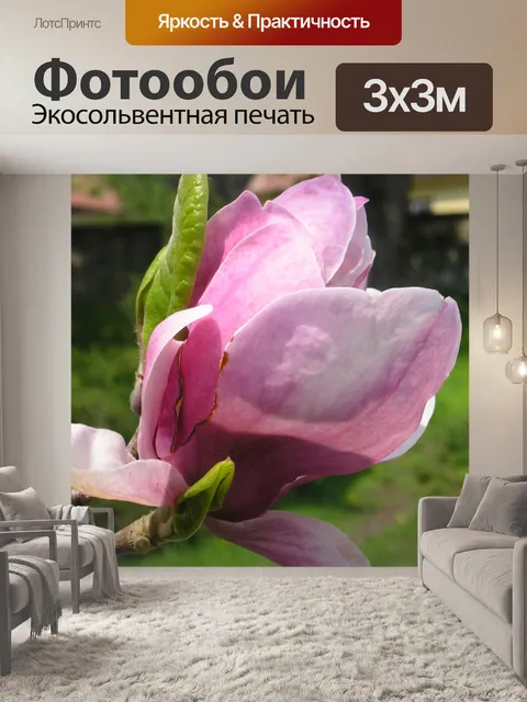 Фотообои Магнолия