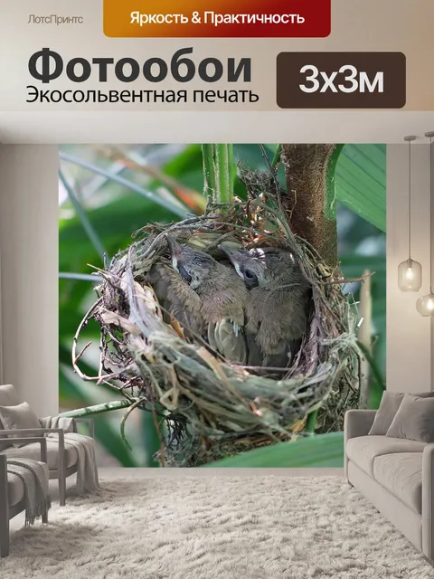 Фотообои Гнездо