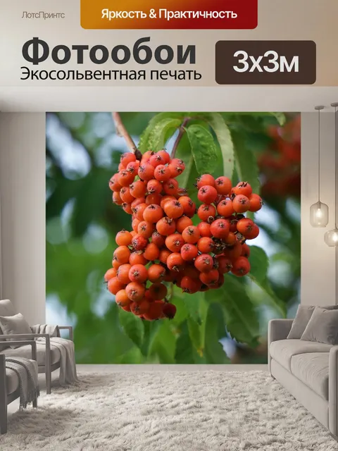 Фотообои Рябина