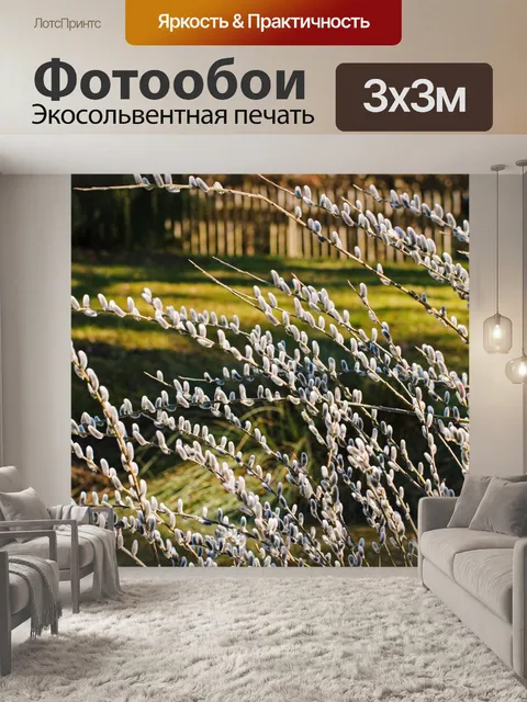 Фотообои Ива