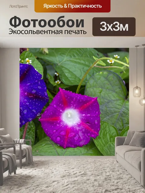 Фотообои Цветы с каплями дождя