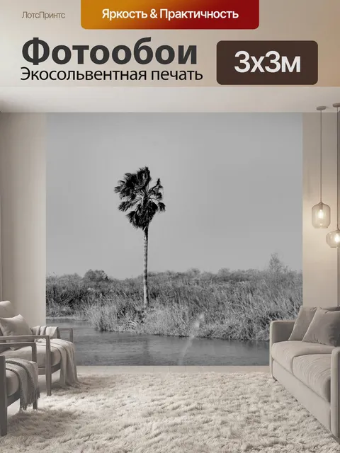 Фотообои Черно-белая пальма возле пруда