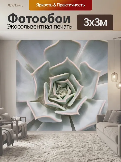 Фотообои Кактус