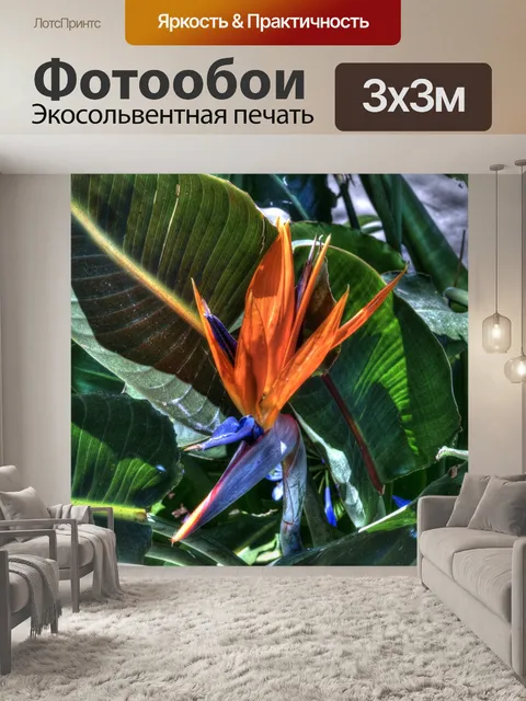 Фотообои Райская птица