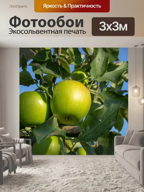 Фотообои Зеленое яблоко