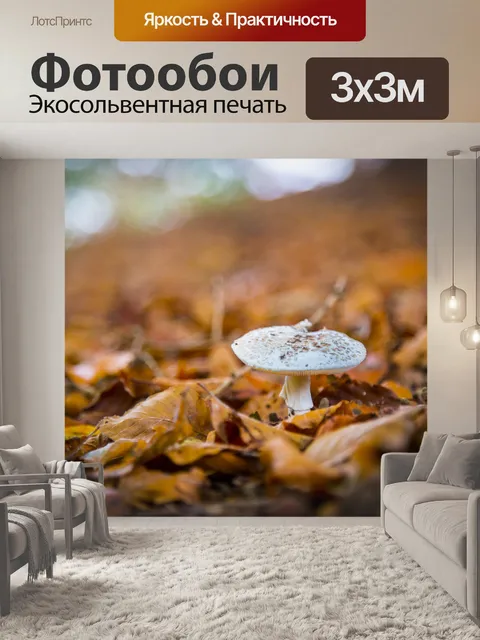 Фотообои грибы
