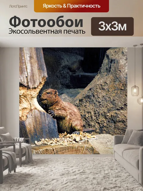 Фотообои бобр