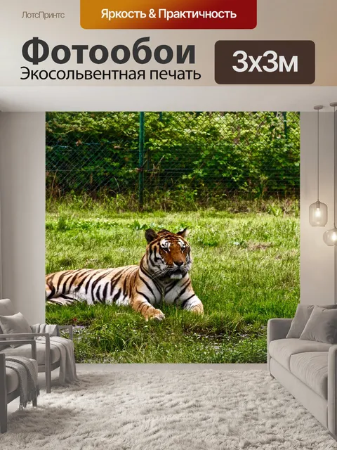 Фотообои Тигр