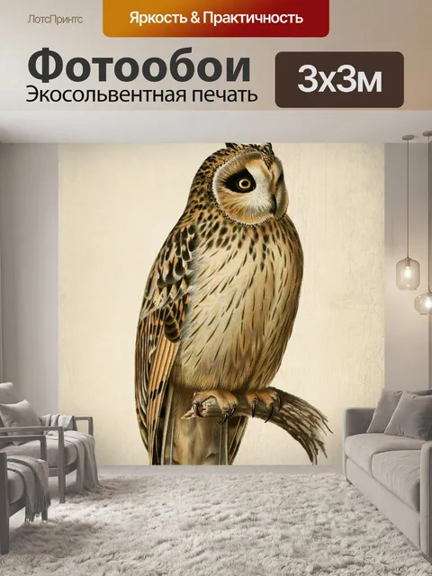 Фотообои Винтажная сова