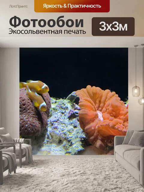 Фотообои Clownfish