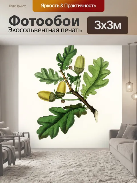 Фотообои Дубовый лист листва роспись искусства