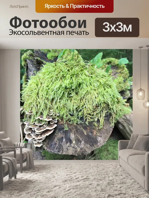 Фотообои Мусс