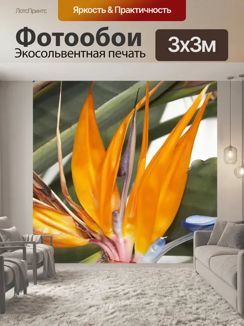Фотообои Цветы