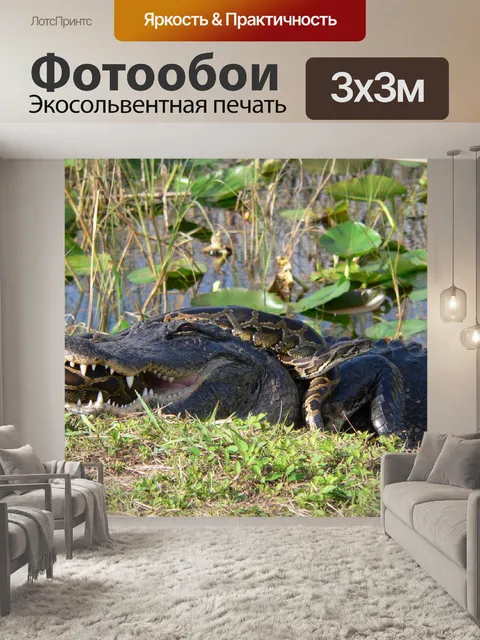 Фотообои Аллигатор и Питон