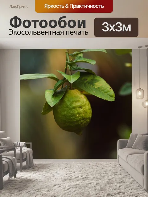Фотообои Лимон
