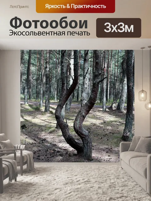 Фотообои Лес