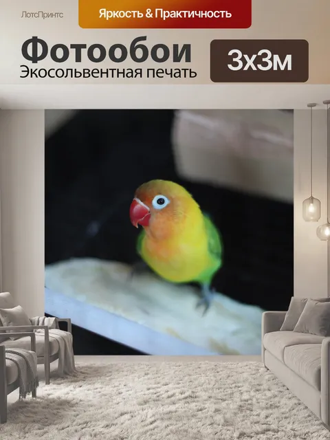 Фотообои Птица любви