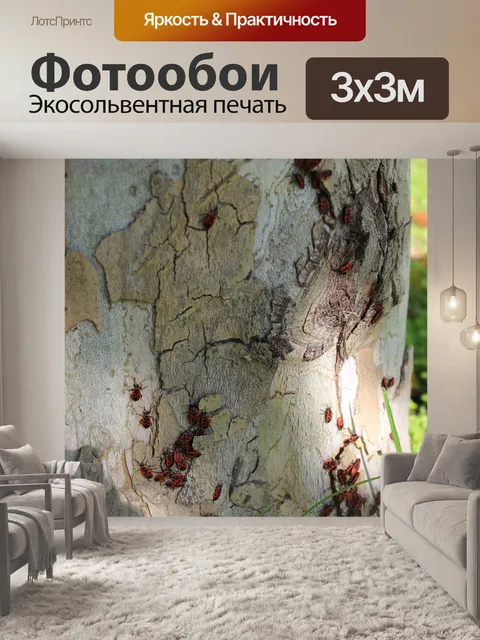 Фотообои Жуки