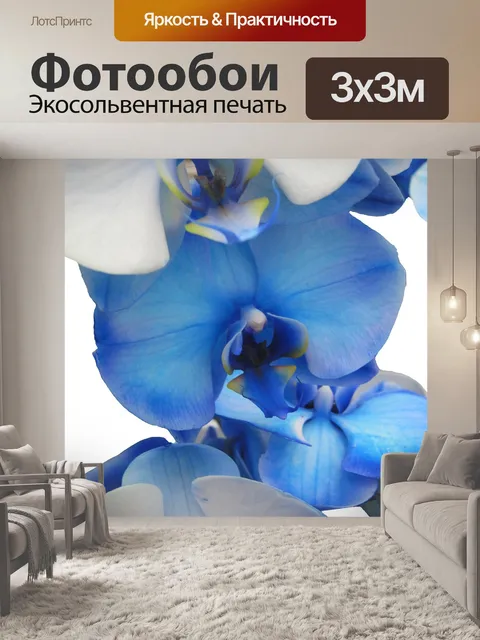 Фотообои Орхидея