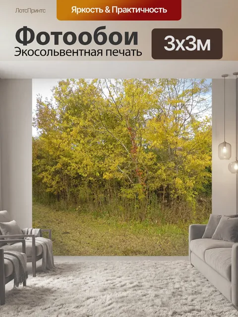 Фотообои Желтые осенние Буш