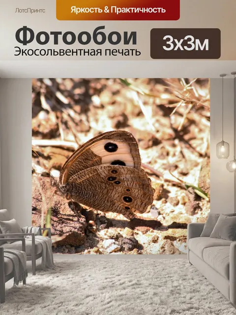 Фотообои Деревянная бабочка Нимфы на земле
