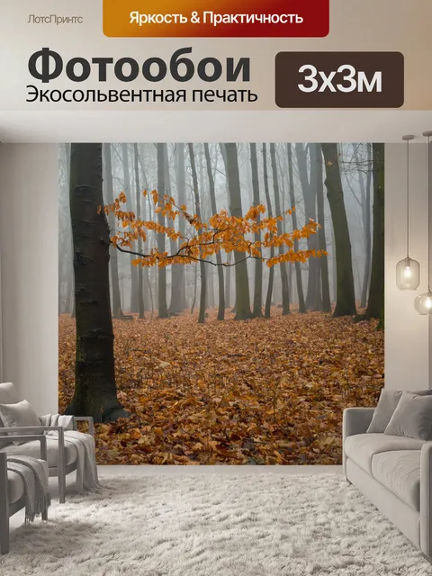 Фотообои Туманный лес я