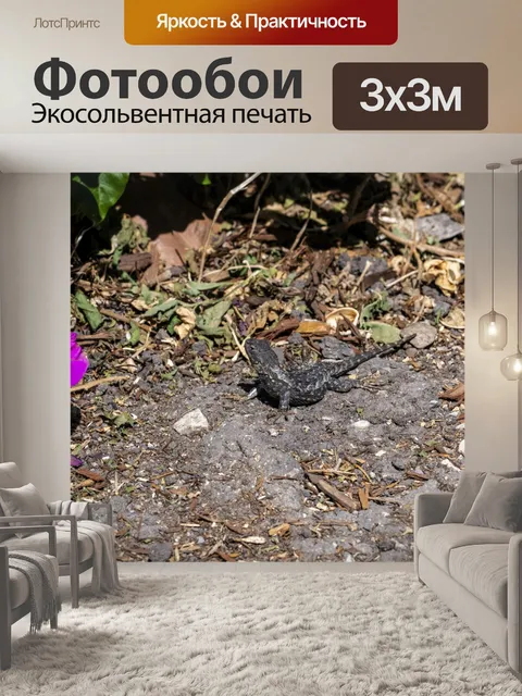 Фотообои ящерица